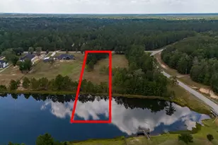 2080 White Doe Court, Cleveland, TX 77328 - Photo 3