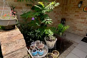 6326 Olson Ln, Pasadena, TX 77505 - Photo 3