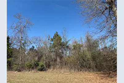 95 County Road 5004, Cleveland, TX 77327 - Photo 3