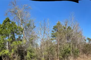 95 County Rd 5004, Cleveland, TX 77327 - Photo 1