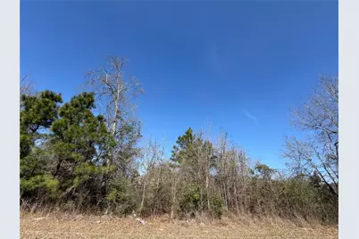 95 County Road 5004, Cleveland, TX 77327 - Photo 7