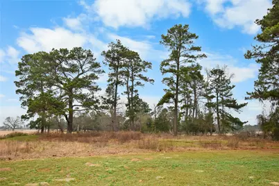 7530 Fm 227, Grapeland, TX 75844 - Photo 19