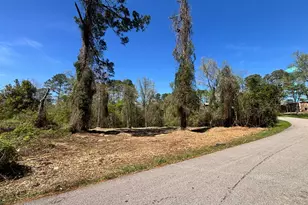 0 Timber Lakes Dr, Spring, TX 77380 - Photo 5