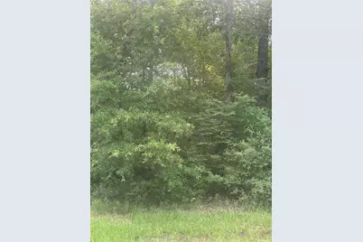 Tbd Knottypine, Livingston, TX 77351 - Photo 1