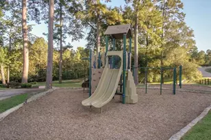 7389 Teaswood Dr, Conroe, TX 77304 - Photo 21