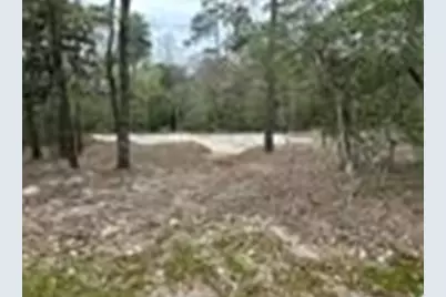 7389 Teaswood Drive, Conroe, TX 77304 - Photo 7