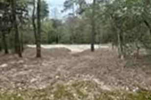 7389 Teaswood Dr, Conroe, TX 77304 - Photo 7