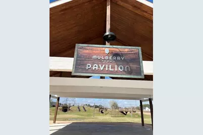 3847 Mulberry Farms Drive, Santa Fe, TX 77510 - Photo 19