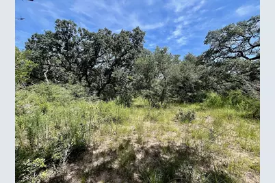 Tbd Hwy 90A, Sheridan, TX 77475 - Photo 9