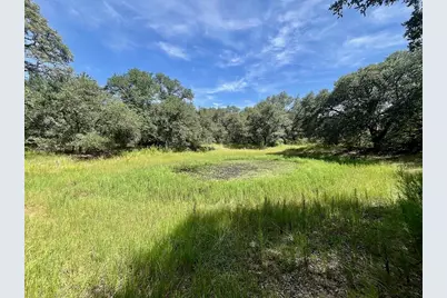 Tbd Hwy 90A, Sheridan, TX 77475 - Photo 7