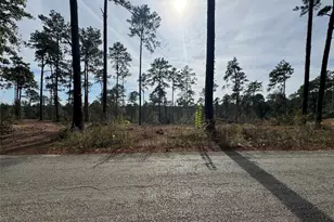 000896 County Road 219, Brookeland, TX 75931 - Photo 7