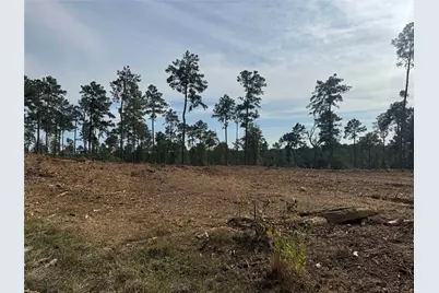 000896 County Road 219, Brookeland, TX 75931 - Photo 27