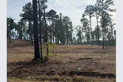 000896 County Road 219, Brookeland, TX 75931 - Photo 1