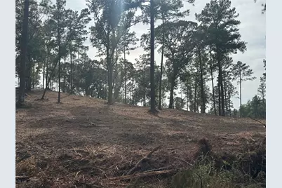 000896 County Road 219, Brookeland, TX 75931 - Photo 17