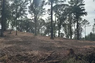 000896 County Road 219, Brookeland, TX 75931 - Photo 17