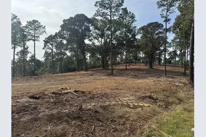 000896 County Road 219, Brookeland, TX 75931 - Photo 29