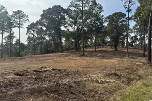 000896 County Road 219, Brookeland, TX 75931 - Photo 29