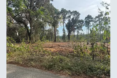 000896 County Road 219, Brookeland, TX 75931 - Photo 3