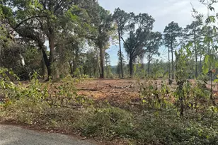 000896 County Road 219, Brookeland, TX 75931 - Photo 3