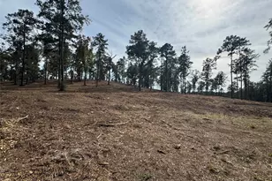 000896 County Road 219, Brookeland, TX 75931 - Photo 25