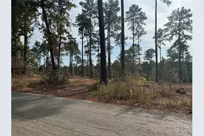 000896 County Road 219, Brookeland, TX 75931 - Photo 5