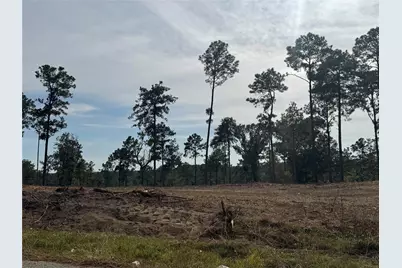 000896 County Road 219, Brookeland, TX 75931 - Photo 11