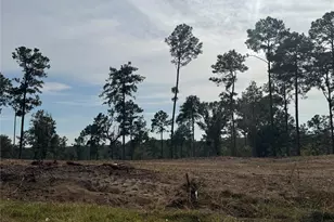 000896 County Road 219, Brookeland, TX 75931 - Photo 11