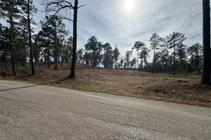 000896 County Road 219, Brookeland, TX 75931 - Photo 19