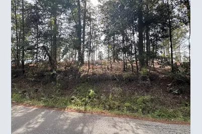 000896 County Road 219, Brookeland, TX 75931 - Photo 15