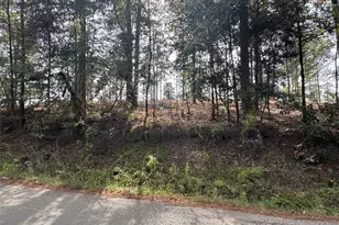 000896 County Road 219, Brookeland, TX 75931 - Photo 15