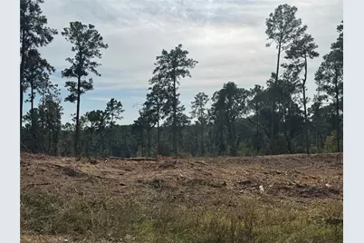 000896 County Road 219, Brookeland, TX 75931 - Photo 9