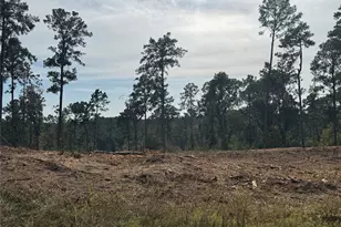 000896 County Road 219, Brookeland, TX 75931 - Photo 9