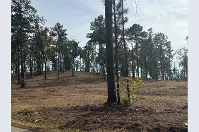 000896 County Road 219, Brookeland, TX 75931 - Photo 23