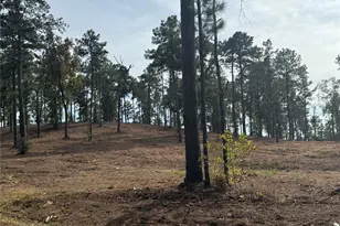 000896 County Road 219, Brookeland, TX 75931 - Photo 23