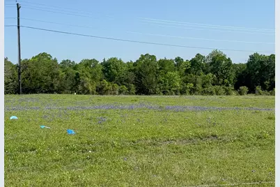 1496 Fm 149 Rd Road W, Anderson, TX 77830 - Photo 11