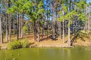 154 Villa Way, Coldspring, TX 77331 - Photo 29