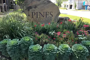 12633 Memorial Dr, Houston, TX 77024 - Photo 15