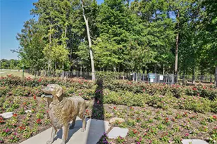 28220 Cedar Peak Dr, Spring, TX 77386 - Photo 45