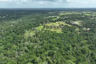 17718 Tranquil Ln, Cat Spring, TX 78933 - Photo 15