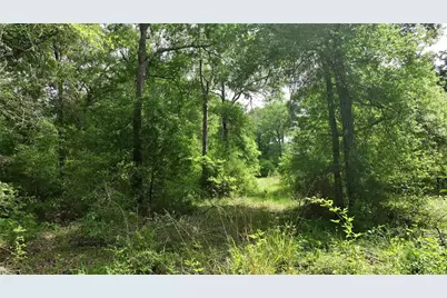 17718 Tranquil Lane, Cat Spring, TX 78933 - Photo 5