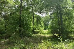 17718 Tranquil Ln, Cat Spring, TX 78933 - Photo 7