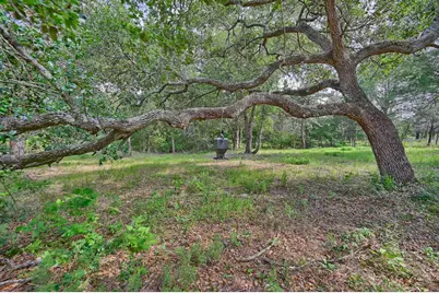 17718 Tranquil Lane, Cat Spring, TX 78933 - Photo 5