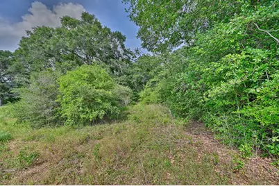 17718 Tranquil Lane, Cat Spring, TX 78933 - Photo 9
