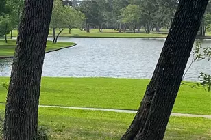 3126 E Lake Cres Dr, Houston, TX 77339 - Photo 33