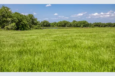 1070 Sledge Ct, Chappell Hill, TX 77426 - Photo 7