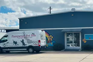 3724 Omeara Dr, Houston, TX 77025 - Photo 27