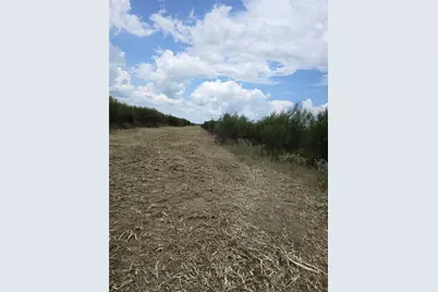 36847 Richard Frey 1-9 Road, Hempstead, TX 77445 - Photo 11