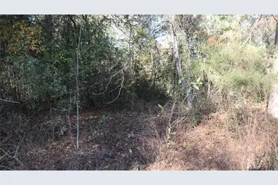 0 Pin Tail Drive, Coldspring, TX 77331 - Photo 3