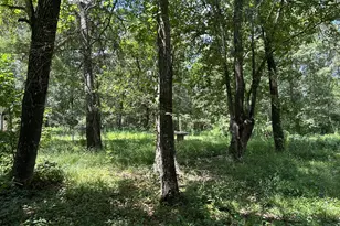 87 Townley Ranch Rd, Huntsville, TX 77320 - Photo 39