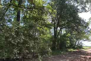 87 Townley Ranch Rd, Huntsville, TX 77320 - Photo 49